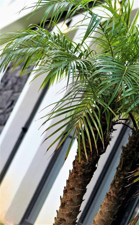 Engy Estoril - Luxury Villas Zewnętrze zdjęcie